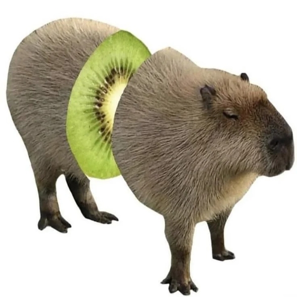 avatar capybara vô tri 16