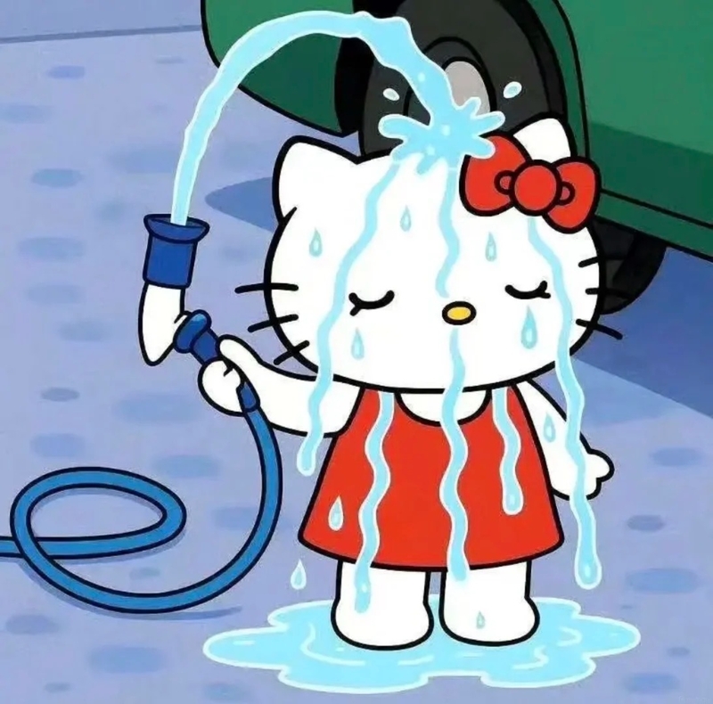 avatar hello kitty vô tri 46