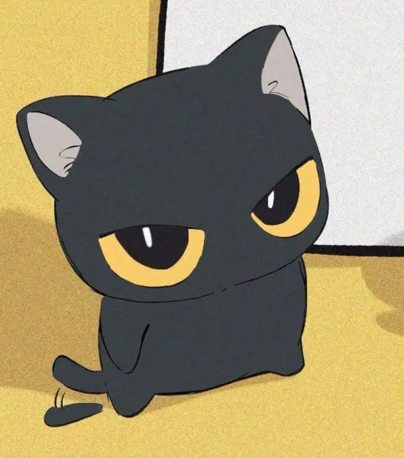 avatar mèo vô tri meme