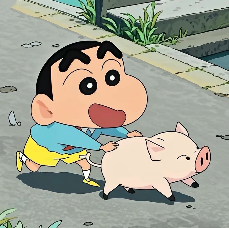 avatar shin vô tri 15