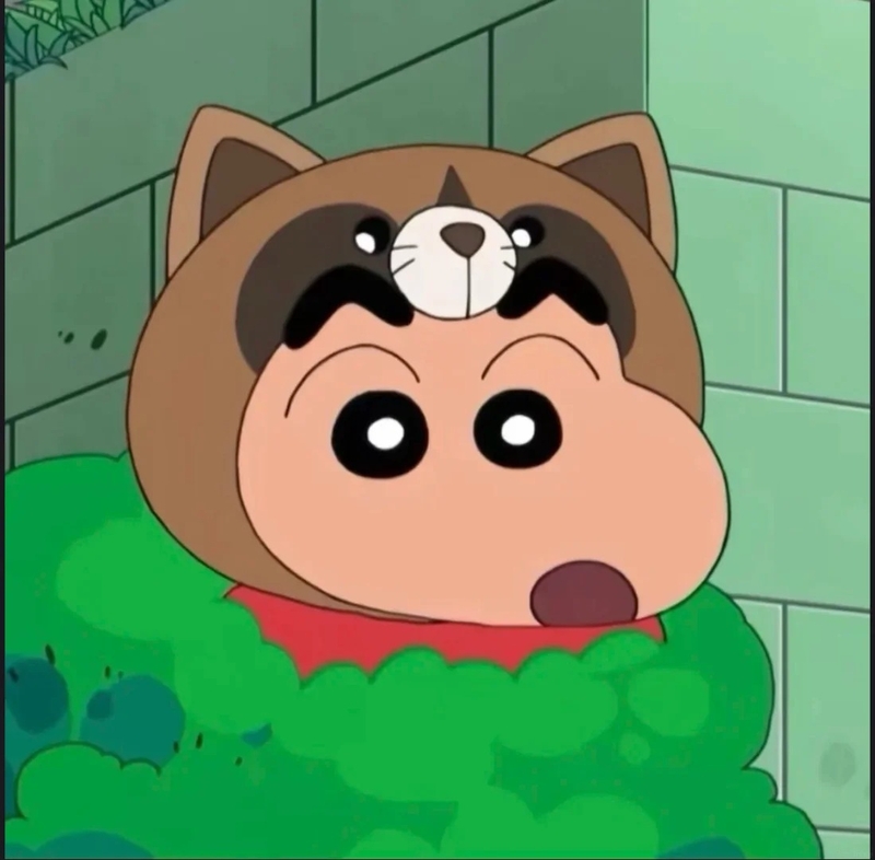 avatar shin vô tri 2