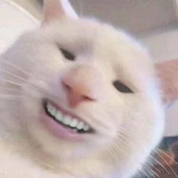 Mê mẩn 255+ những khoảnh khắc há mồm ảnh chế meme mèo bựa
