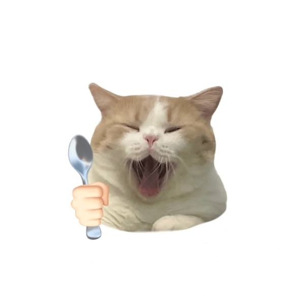 há mồm ảnh chế meme mèo bựa 21