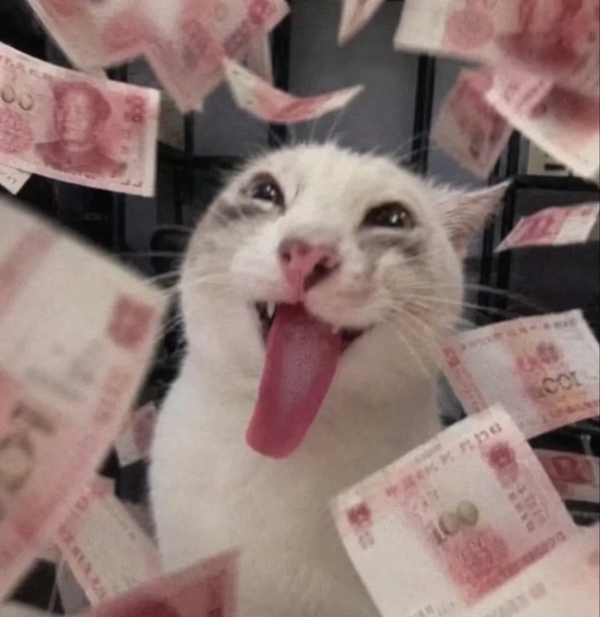meme con mèo lè lưỡi