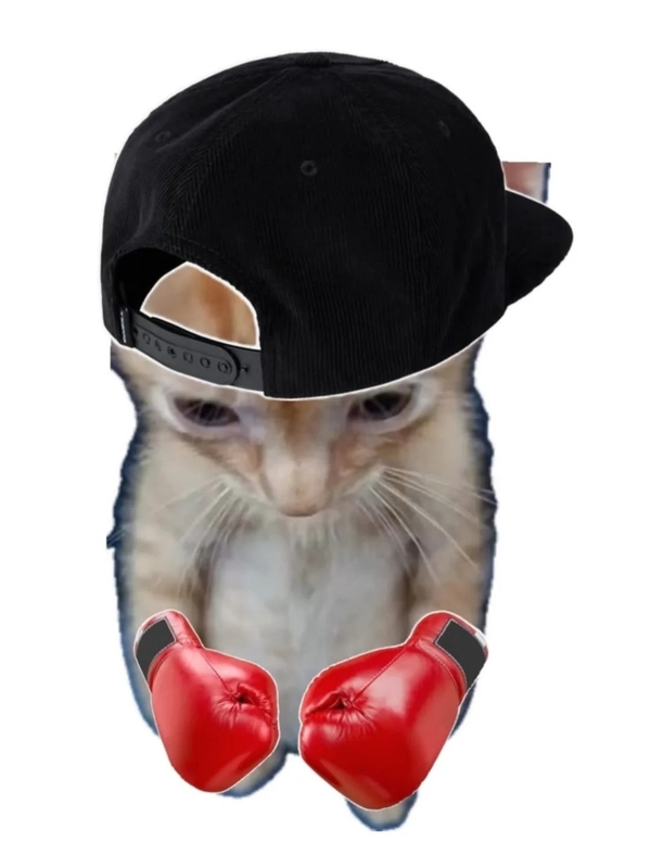 meme mèo