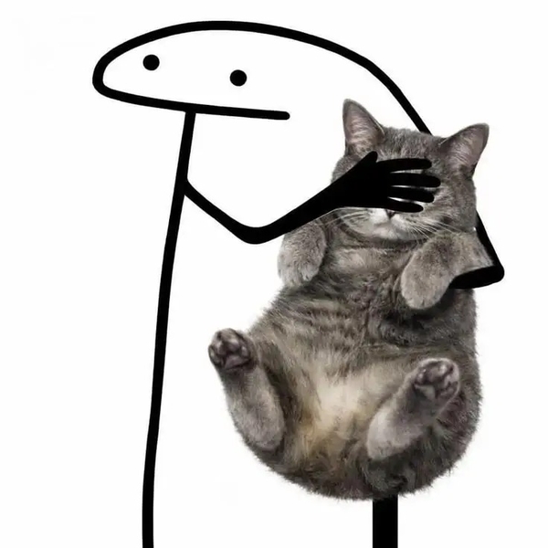 meme mèo 11