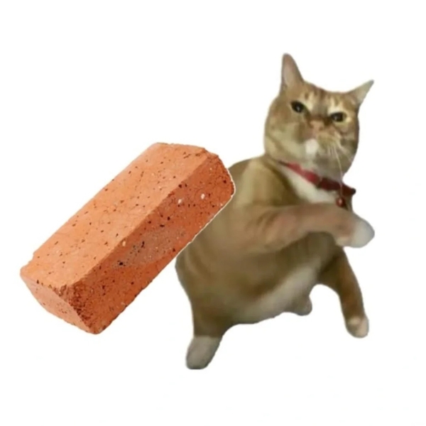 meme mèo 13