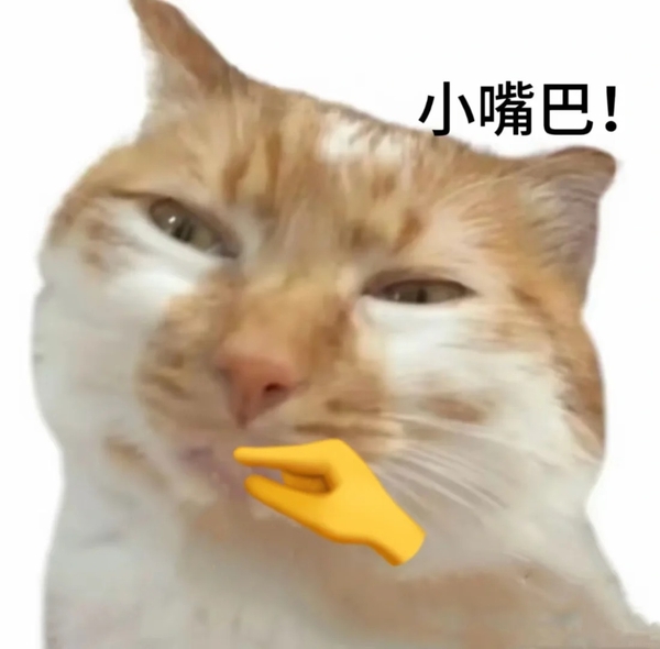 meme meo 29
