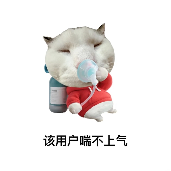 meme mèo buồn 11