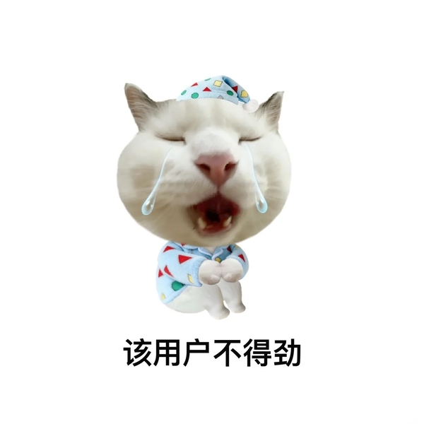 meme mèo buồn 9