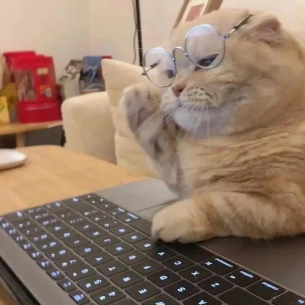 meme mèo dỗi 8