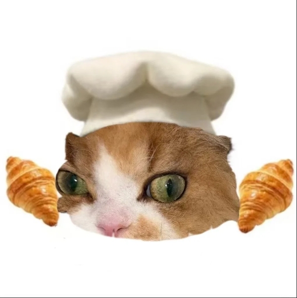 meme mèo hài 1