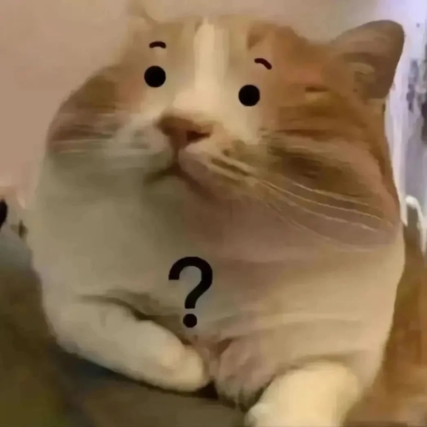 meme mèo hài 14