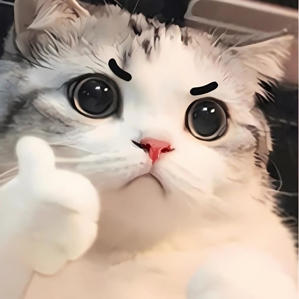 meme mèo like 20