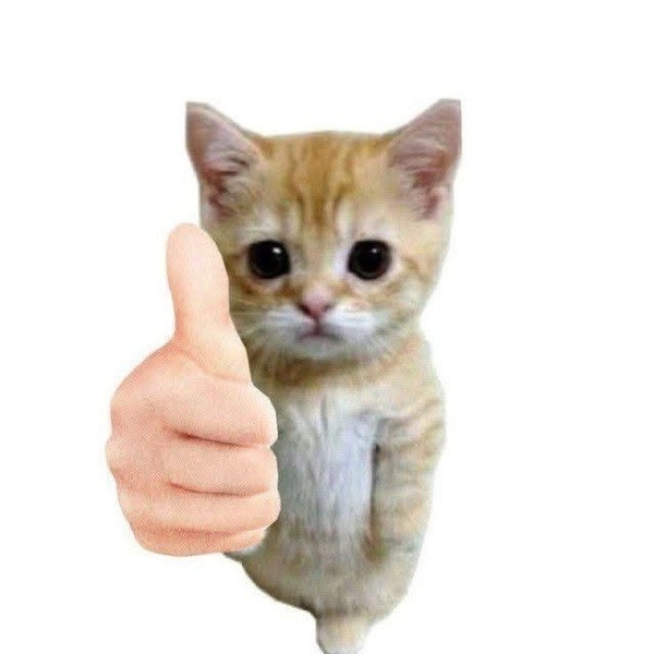 meme mèo like 5