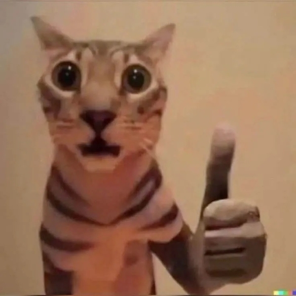 meme mèo like 8