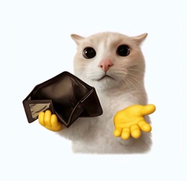 meme mèo nghi ngờ 17