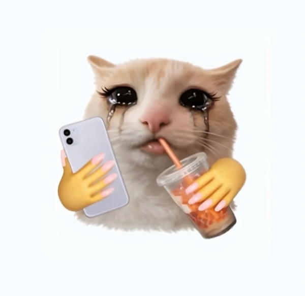 meme mèo nghi ngờ 19