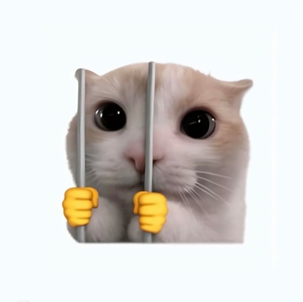 meme mèo nghi ngờ 22