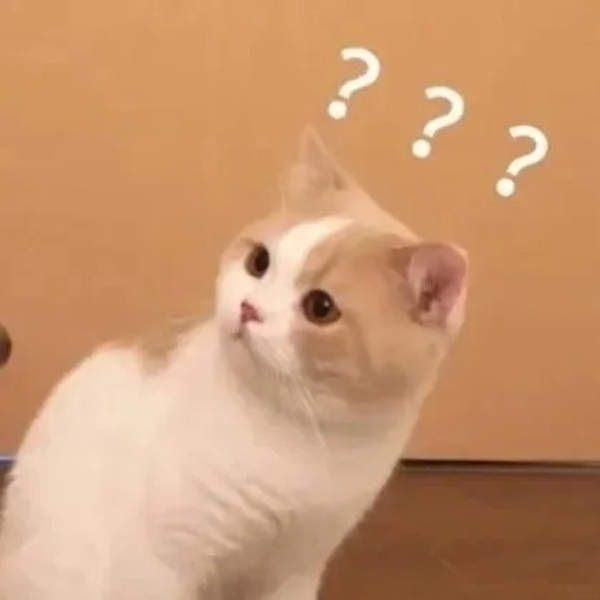 meme mèo nghi ngờ 29