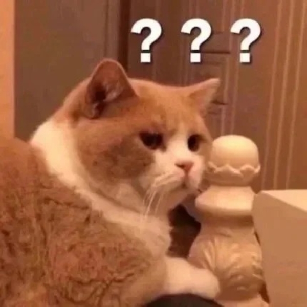 meme mèo nghi ngờ 31