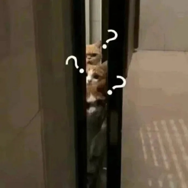meme mèo nghi ngờ 32