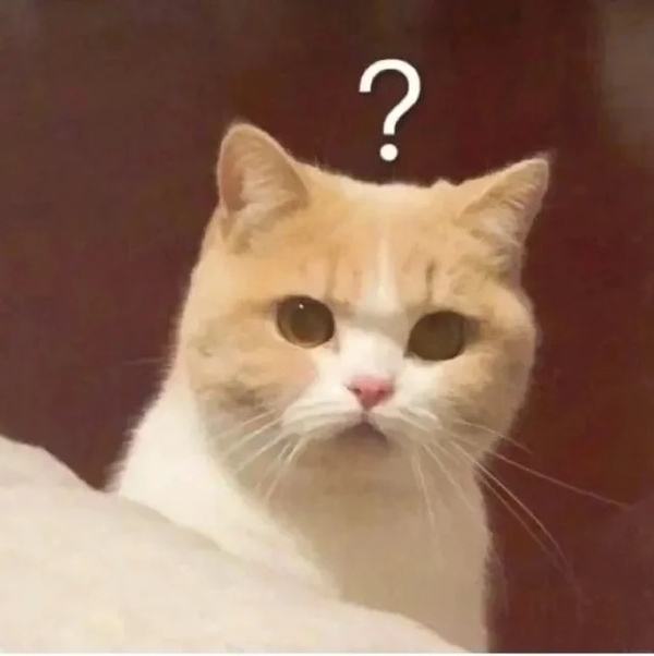 meme mèo nghi ngờ 33
