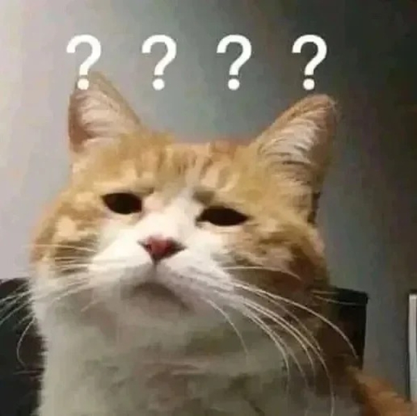 meme mèo nghi ngờ 34
