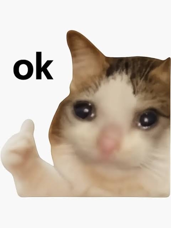 meme mèo ok 11