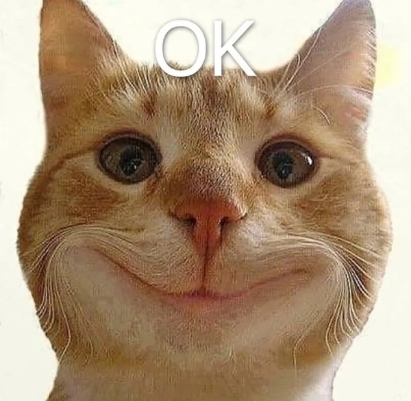 meme mèo ok 12