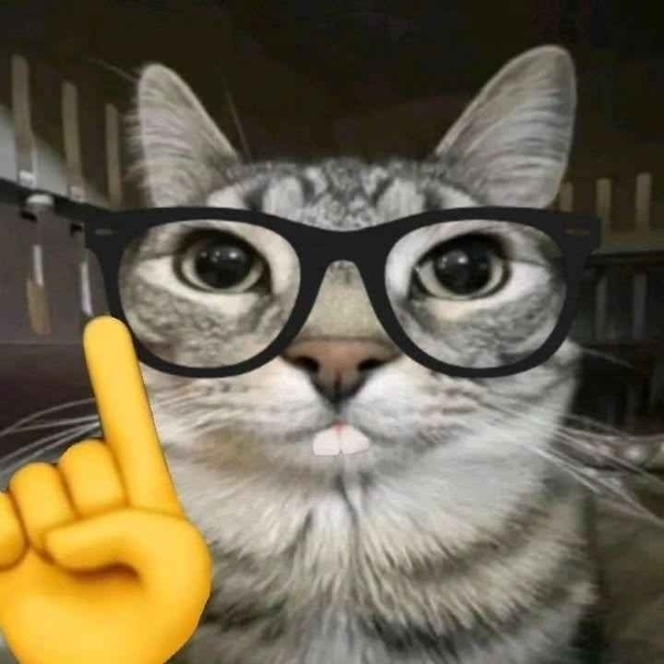 meme mèo ok 14