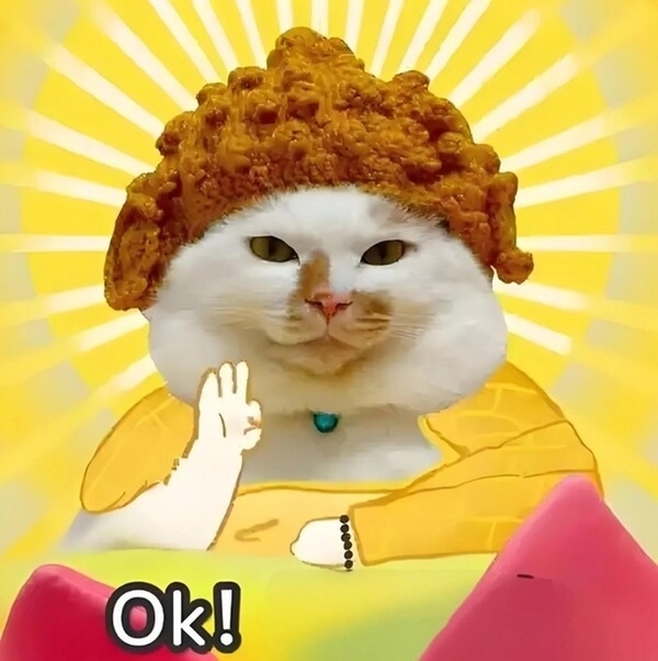 meme mèo ok 16