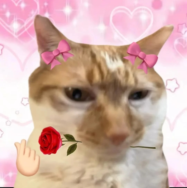 meme mèo tặng hoa 25