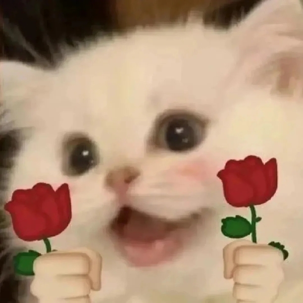 meme mèo tặng hoa 33