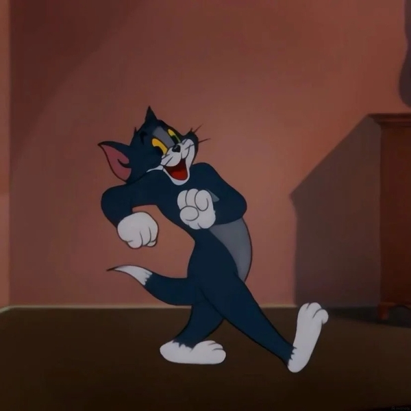 meme mèo tom 14