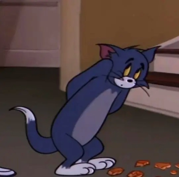 meme mèo tom 16