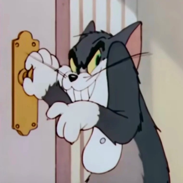 meme mèo tom 22