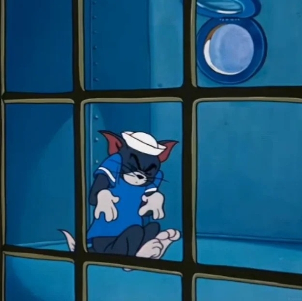 meme mèo tom 29