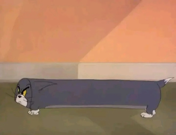 meme mèo tom 3