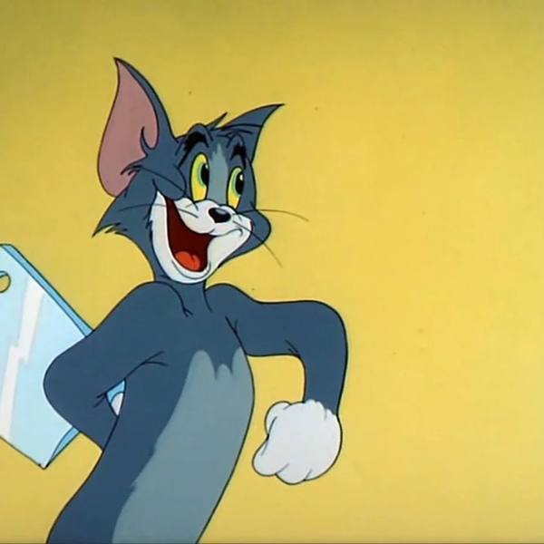 meme mèo tom 6