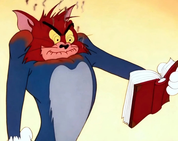 meme mèo tức giận 20