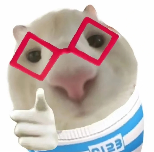 mèo ảnh meme mèo