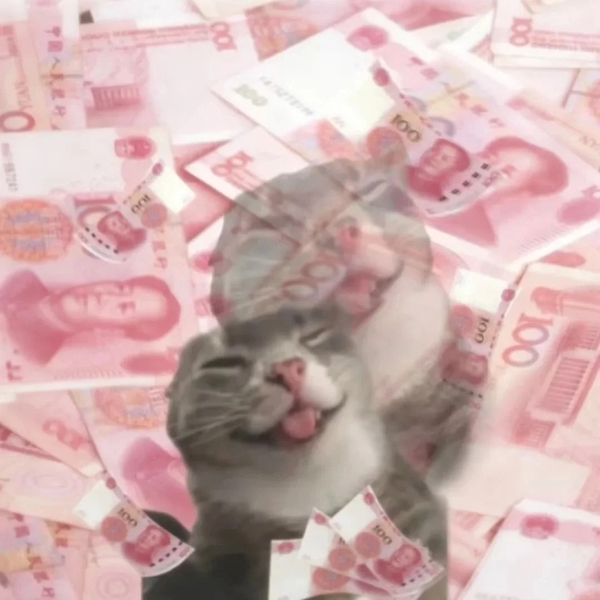 mèo meme hài